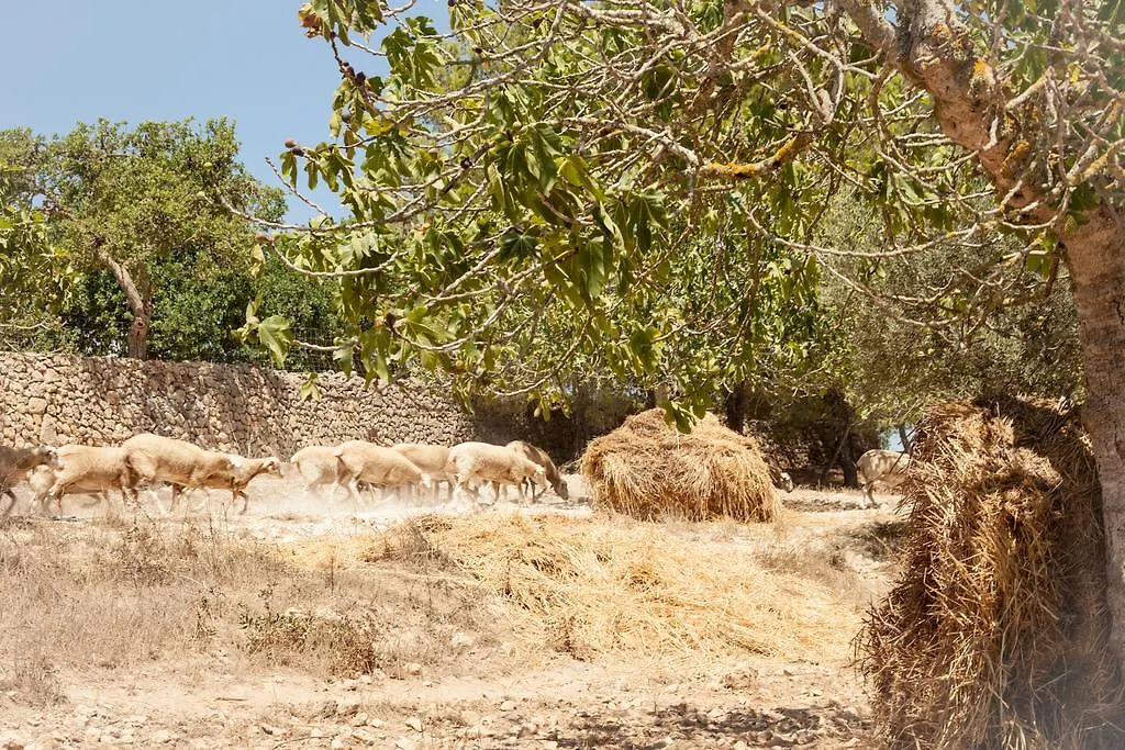 לןקמאג'ור Agroturisme Perola - Only Adults 0*,  ספרד