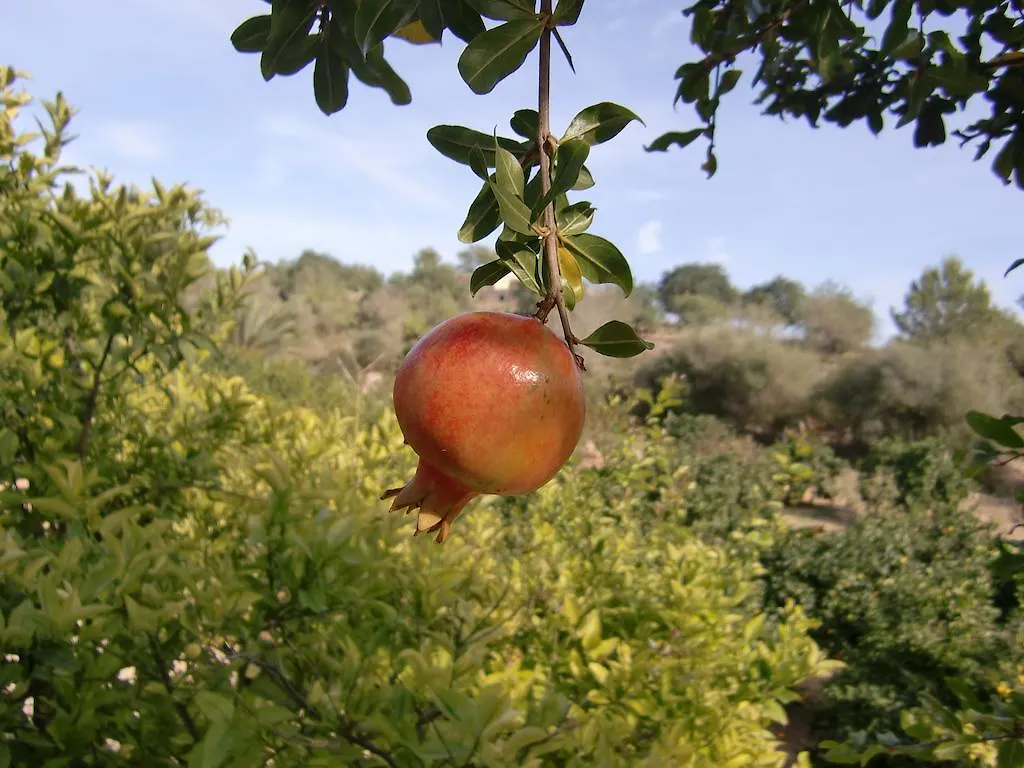 לןקמאג'ור Agroturisme Perola - Only Adults בית כפרי